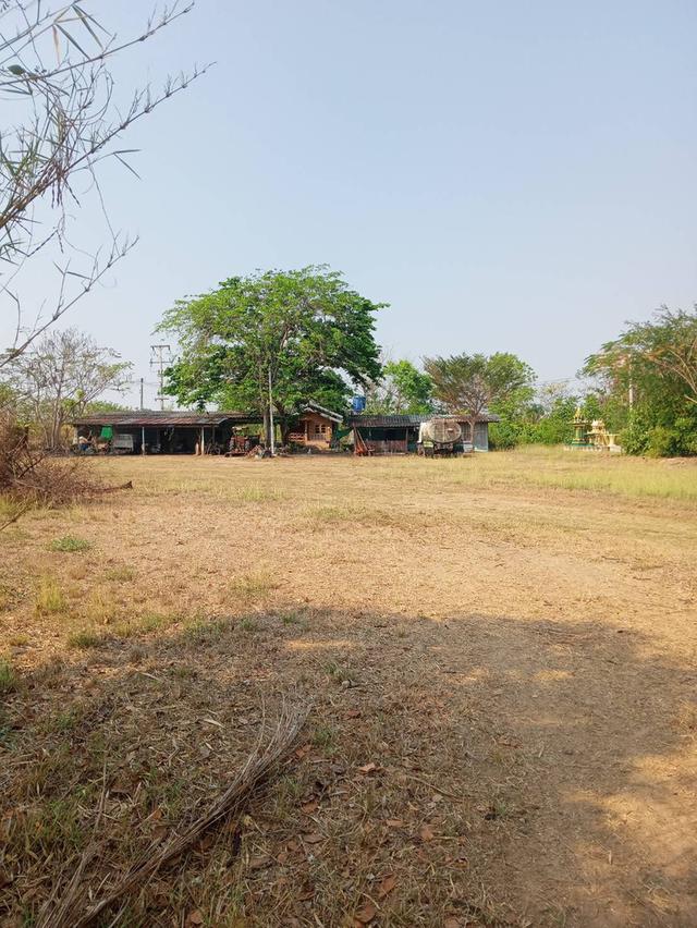 ที่ดินทำการเกษตร จำนวน 127 ไร่ 6