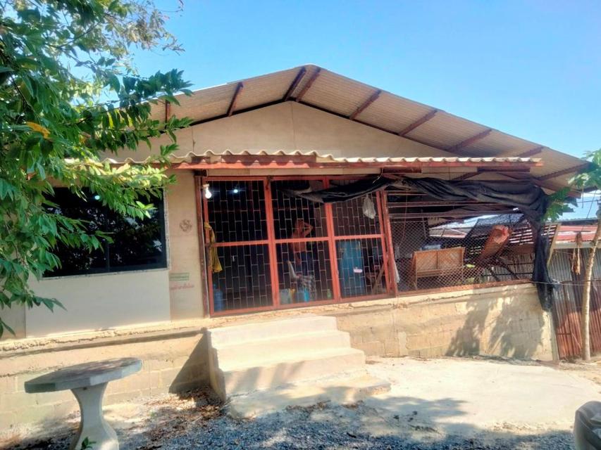 ให้เช่าพื้นที่เป็นอาคารเปิดโล่ง 250 ตร.ม. พร้อมบ้านเดี่ยว 1 หลัง อยู่ท่ามกลางสวนไร่นา บรรยากาศดีมาก ตำบลดอนพุด สระบุรี 9