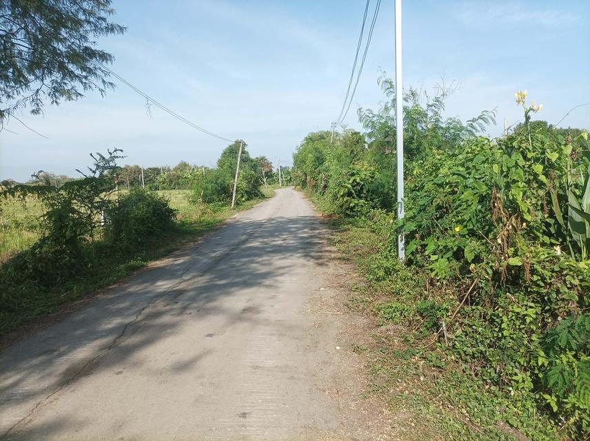 ขายที่ดิน5ไร่ วิวสวย ต.ป่าป้อง อ.ดอยสะเก็ด จ.เชียงใหม่ 4