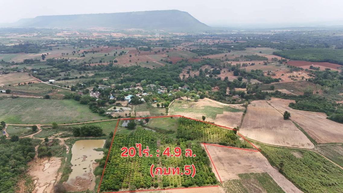 ขายที่ดินทางเลือก (ภบท5) ราคาจับต้องง่าย. ( 612บ./ ตร.วา ) ( 20 ไร่. : 4.9 ล้าน ) | ซื้อขาย เปลี่ยนชื่อได้ : พื้นที่. ปลอดภัยฯ หายห่วง | อากาศบริสุทธิ 6