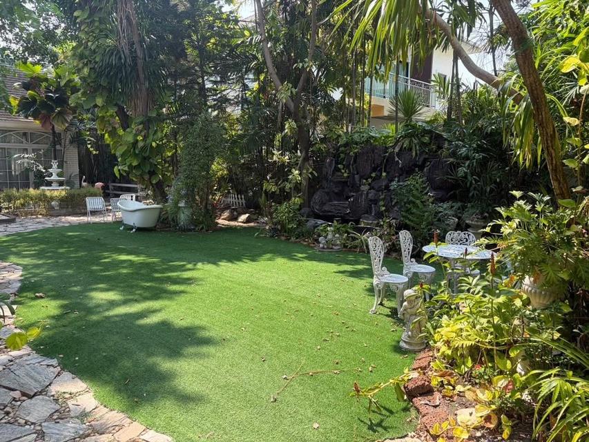 U1477 ให้เช่าบ้านสวน ใจกลางสุขุมวิท 101 FOR RENT RARE GARDEN SPACE IN SUKHUMVIT An Extraordinary Glasshouse Garden Space in Sukhumvit 101 7