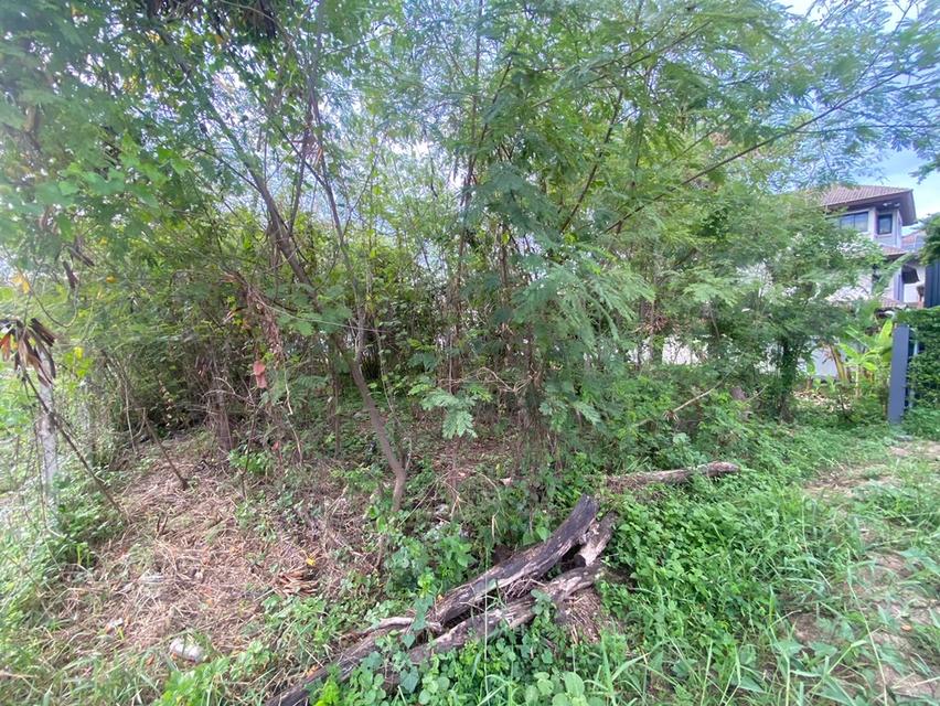 ที่ดินในเมืองทองธานี ถมแล้ว ใกล้รถไฟฟ้า  12