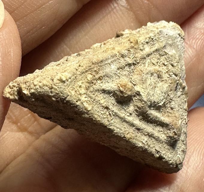 พระผงมีคราบกรุ ฟองเต้าหู้ ไม่ทราบที่ 5