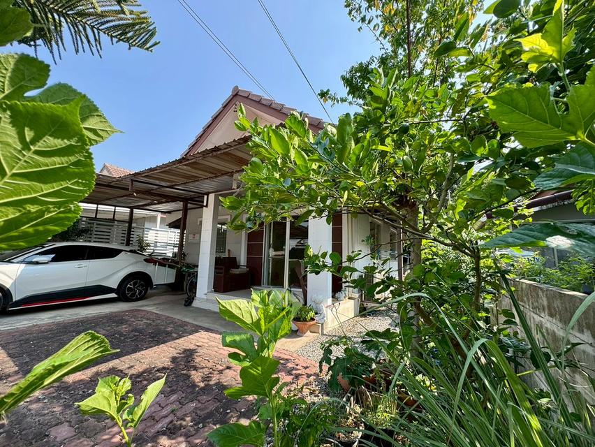 ขายบ้านเดี่ยว หนองจอก **ราคาพิเศษ บ้านร่มรื่นน่าอยู่** (N.2072) 2