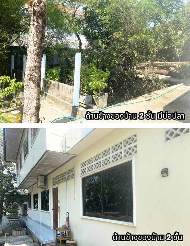 ขายที่ดินพร้อมสิ่งปลูกสร้าง 8