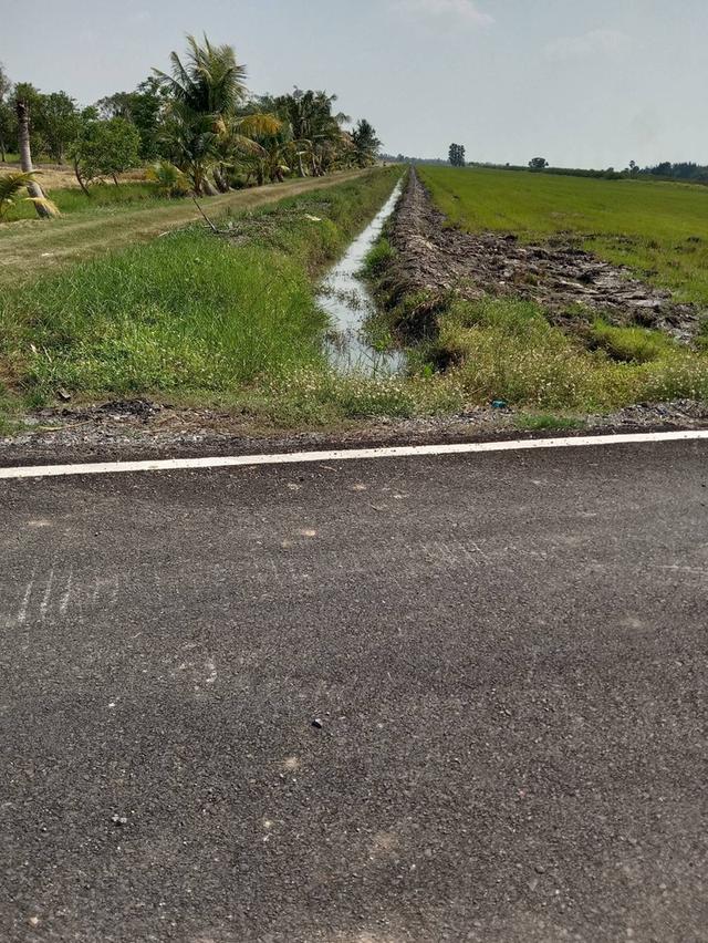 ขายที่ดิน 62 ไร่ 3งาน 15ตารางวา ต.บึงศาล อ.องครักษ์ จ.นครนายก 2