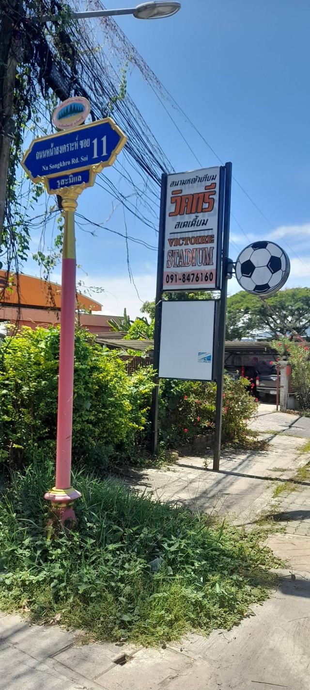 ที่ดิน จังหวัด ปัตตานี อำเภอเมือง 1