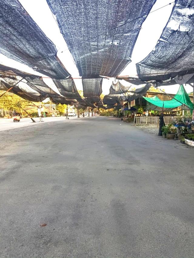 ขายที่ดินแปลงใหญ่ ใกล้ตลาดคลองลัดมะยม เหมาะพัฒนาโครงการที่อยู่อาศัยและเชิงพาณิชย์ 5