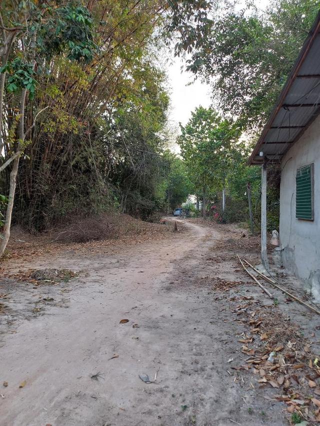 ขายที่ดินในจ.ฉะเชิงเทรา1.5แสนบาท 4