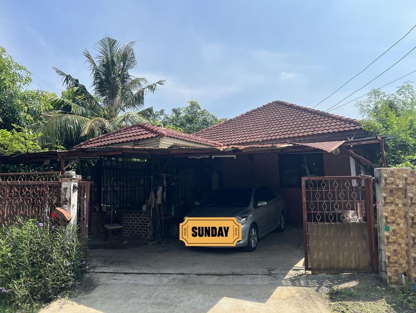 [ขายด่วน] 🏡บ้านเดี่ยว 50 ตร.ว. สายไหม-จตุโชติ ซอย 10 พื้นที่เยอะ โครงสร้างแน่น เจ้าของขายเอง! 2