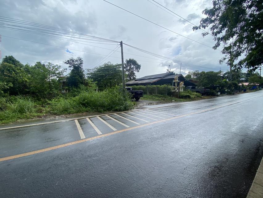 บ้านพร้อมที่ดิน203ตรว. 6