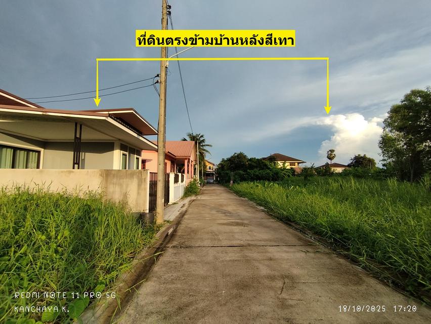 ถูกที่สุด!! ที่ดินเปล่า หลังตึกทรู บ้านคลอง พิษณุโลก 4