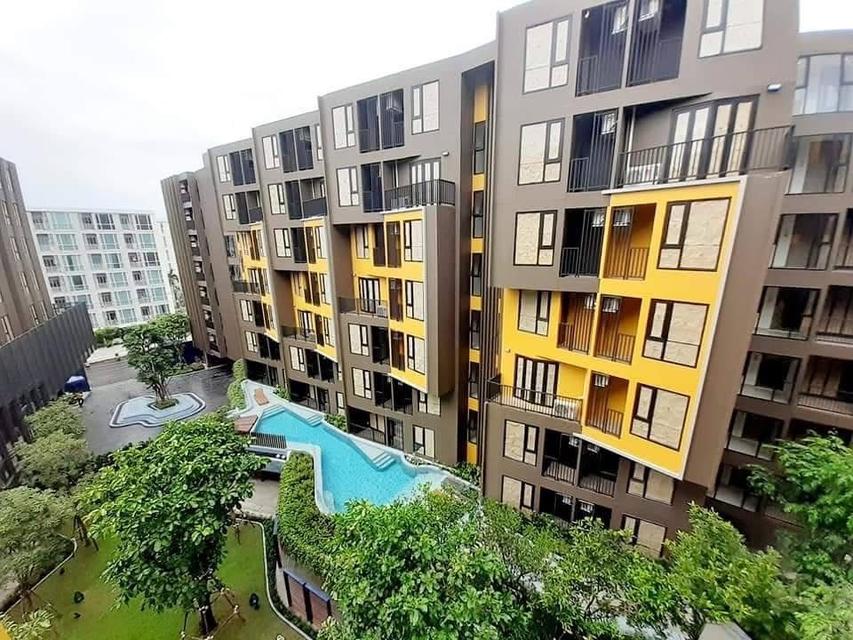 Condo for Sale – THE BASE Central Phuket 1