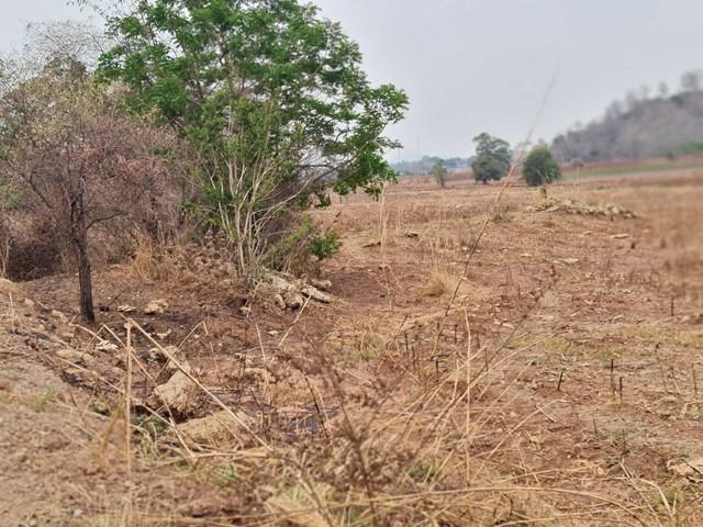 สู่ยุคหาทรัพย์ดีเอื้อเศรฐกิจ ที่ดินติดภูเขา ต.พระนอน อ.เมือง จ.นครสวรรค์ วิวสวยมากๆๆ 5ไร่เศษ โทร 096-882-1857 3