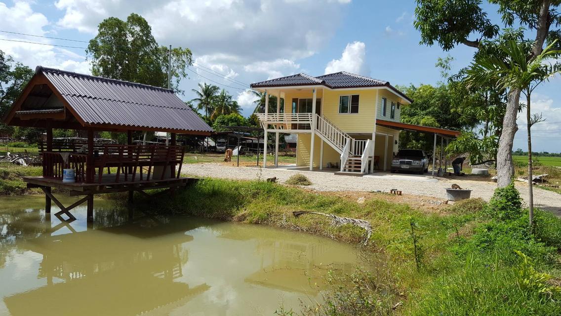 ขายบ้านสวนติดถนนสายชนบท หลังมุม เนื้อที่ 2 ไร่ 3 งาน 27 ตารางวา โพธาราม ราชบุรี 2
