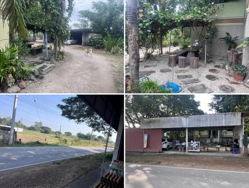 ขายบ้านพร้อมที่ดิน 407 ตารางวา ตำบลลำปางหลวง อำเภอเกาะคา จังหวัดลำปาง 5 นาที ถึงถนนใหญ่พหลโยธิน 3