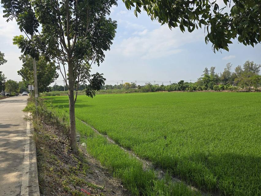 ขายที่ดินทำเลทอง 7 ไร่ ใจกลางบางใหญ่ ราคาพิเศษ 2