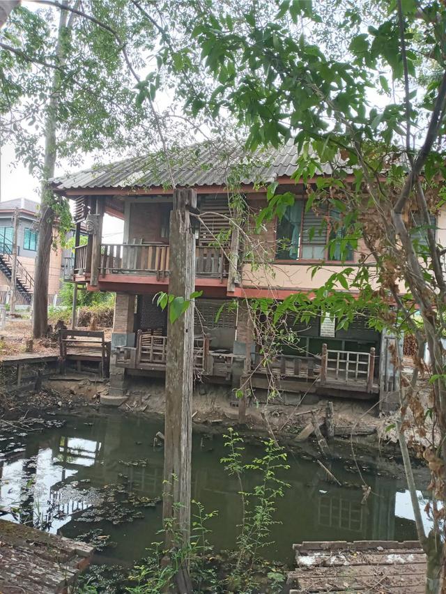 ขายที่ดินพร้อมสิ่งปลูกสร้างใน จ.สุราษฎร์ 7