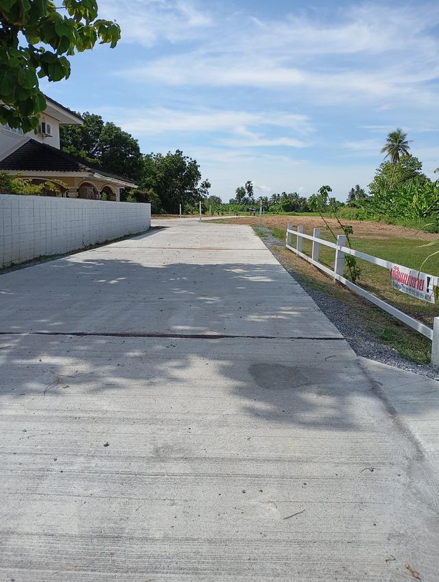 ที่ดินถูก ใกล้ถนน101มาก ช่วงเกาะตาเลี้ยง อ.ศรีสำโรง เหมาะการลงทุนพัฒนาอสังหา ธุรกิจ เก็บไว้เพื่ออนาคต 5