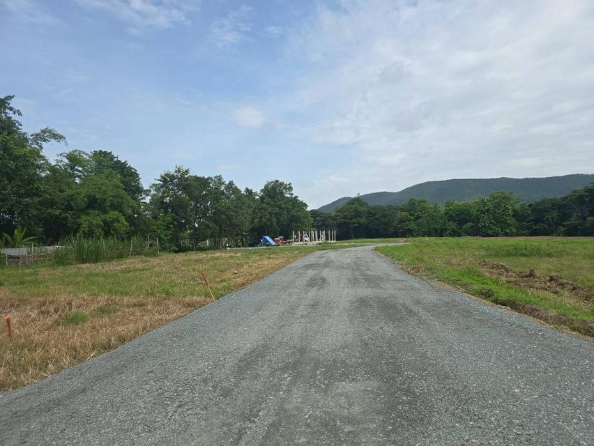 ขายที่ดิน ออนกลาง สันกำแพง 2