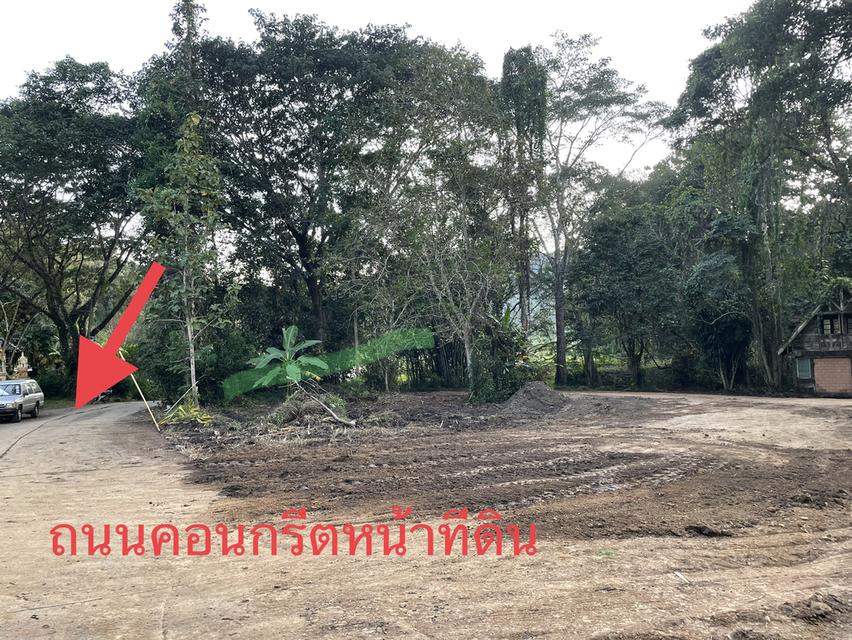 ที่ดินโฉนด สวย หายาก ลำธารโอบล้อมโดยรอบด้านหน้าติดถนนซอย วิวภูเขา  3
