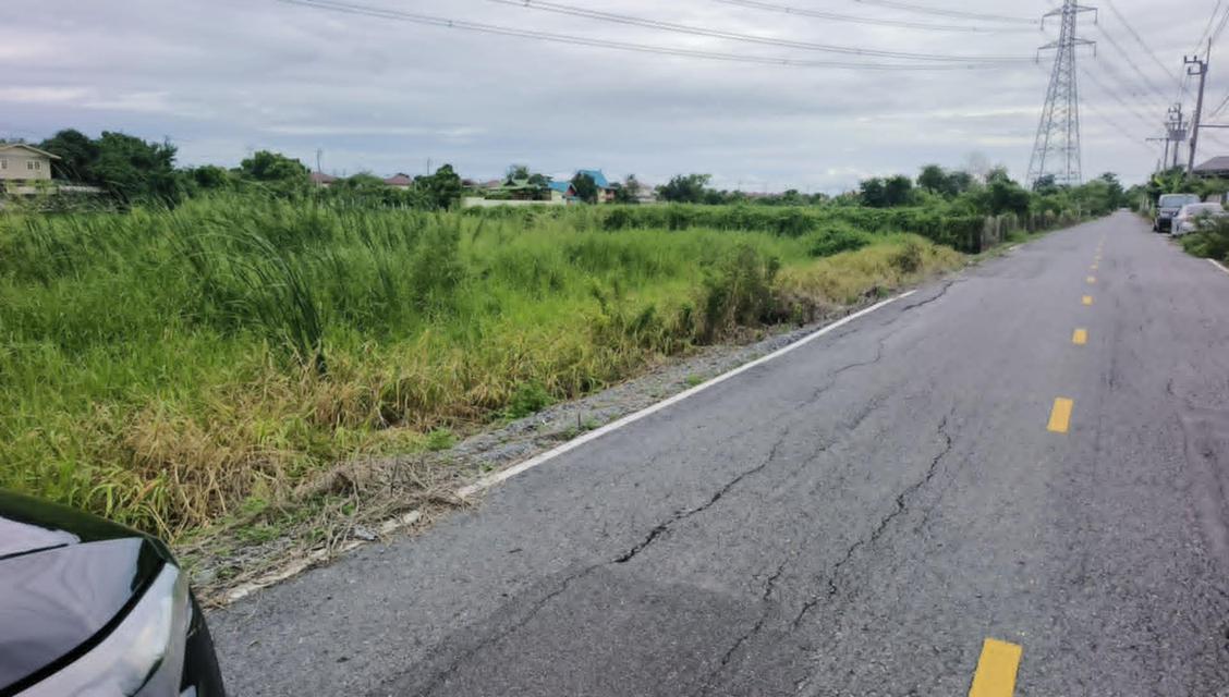 ขายที่ดินเปล่าเยื้องการไฟฟ้าไทรน้อย 200 ตร.ว. ซ.สุวรรณ ต.ไทรน้อย อ.บางบัวทอง นนทบุรี 080-9169359 7