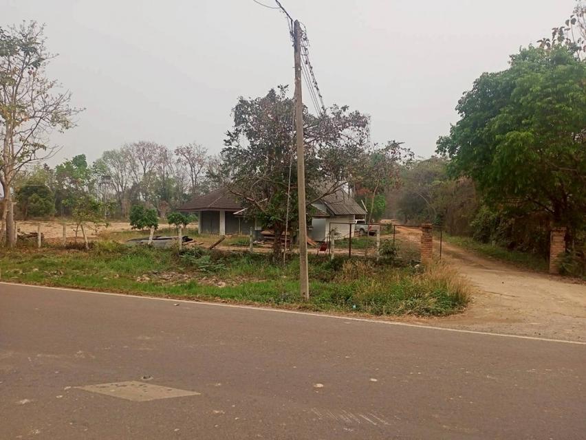 ขายที่ดิน 40 ไร่ 0 งาน 67.5 ตร.ว. ติดถนนหมายเลข 1186 ใกล้กรมทหารพรานที่ 31 พะเยา 6