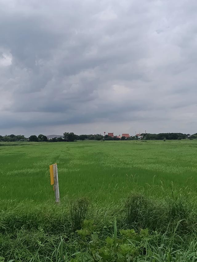 ที่ดิน อยุธยา ติดอุตสาหกรรมโรจนะ 1