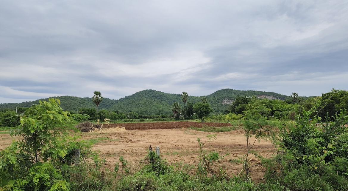 ขายที่ดินวิวเขาใกล้พุทธมณฑลจังหวัดสุพรรณบุรี 3