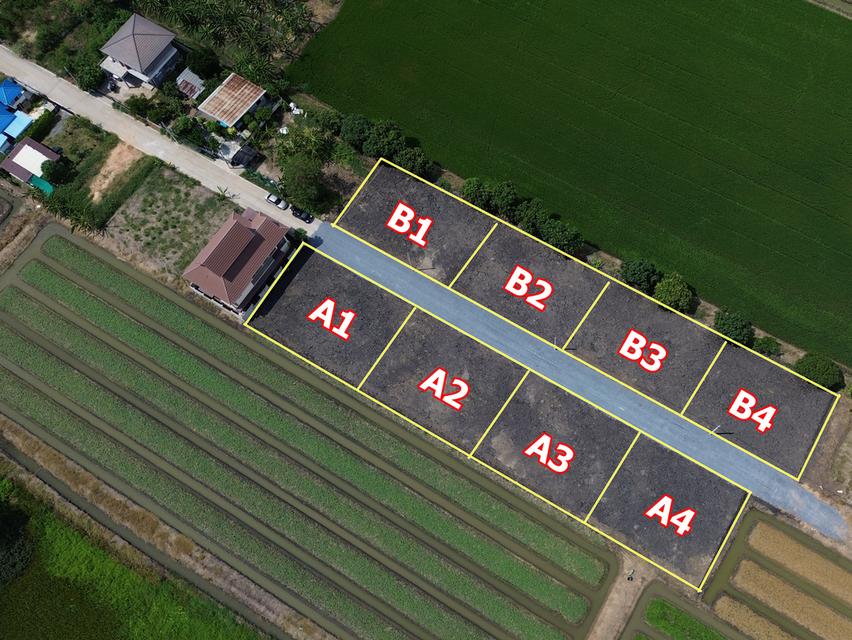 ที่ดินแบ่งขาย ทำเลทอง ทวีวัฒนา-ไทรน้อย นนทบุรี เนื้อที่แปลงละ 100 ตารางวา 1