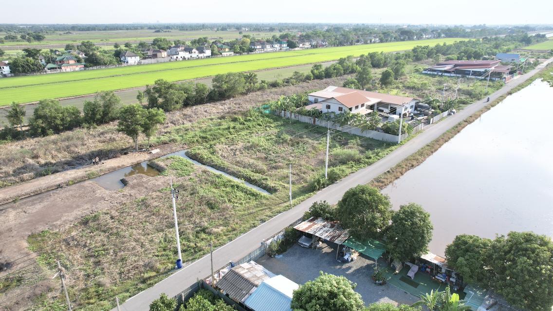 ที่ดิน 9