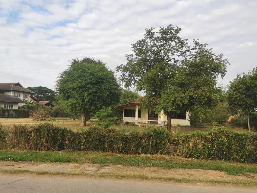 ที่ดิน​ 6​ ไร่​ 1​ งาน​ 31​ ตารางวา​ 4