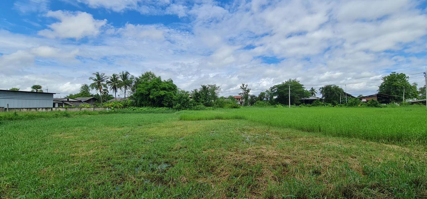 ที่ดิน  แปลงหัวมุม อ.บ้านธิ จ.ลำพูน 10
