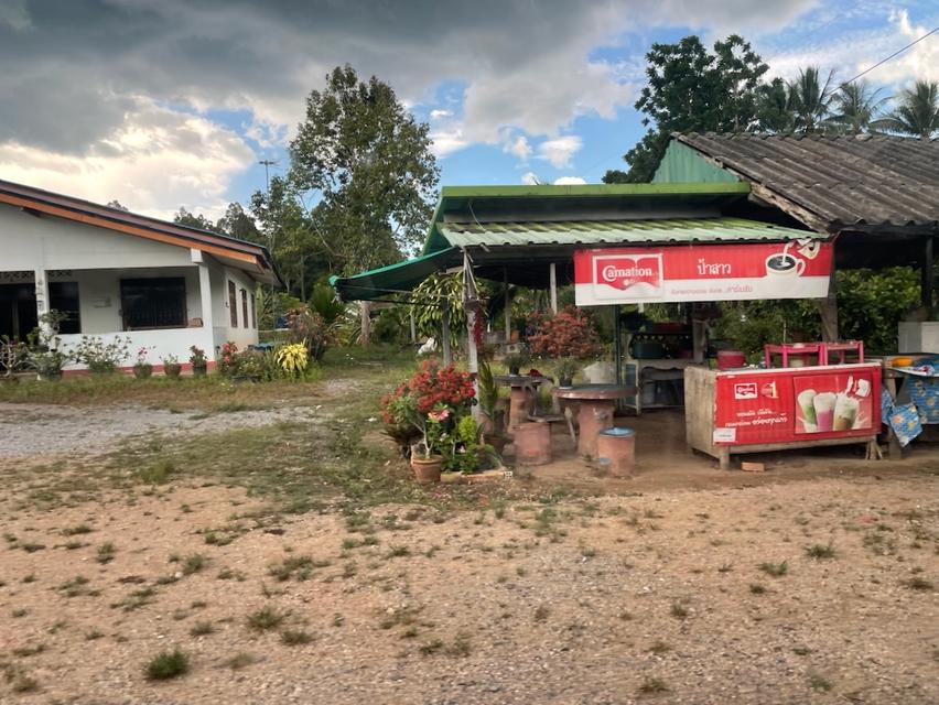 ขาย บ้านเดี่ยว เขาขาว ทุ่งสง 300 ตรม. 352.7 ตร.วา ติดถนนใหญ่ 2ด้าน ใกล้อบต.เขาขาว ทำการค้าได้ บรรยากาศดี