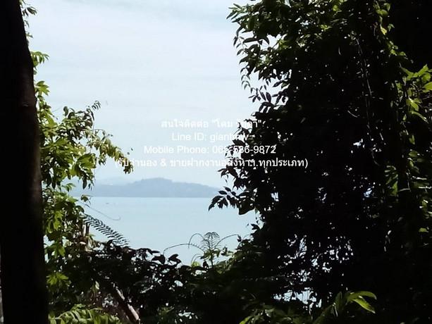 พื้นที่ดิน ขายที่ดินสวนป่า บนเนินไหล่เขา วิวทะเล (Seaview) เกาะสิเหร่ ภูเก็ต 5-0-48.7 ไร่ (ห่างชายทะเล 100 ม.), ราคา 76, 3