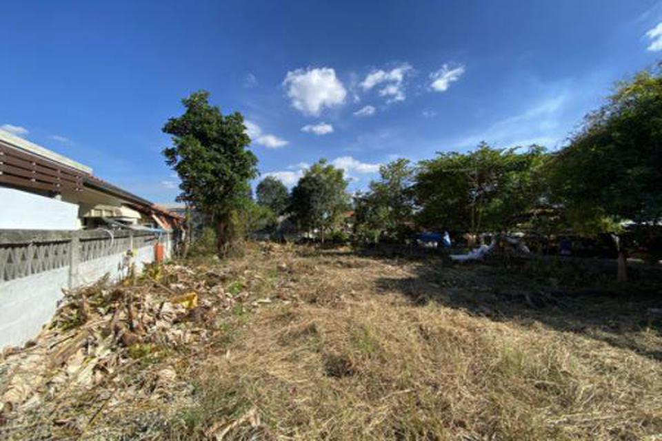 ที่ดิน YE-36 บ้านโนนตุ่น เมืองเก่า ขอนแก่น 95 ตร.วา Ban Non Tun Khonkaen ปิดประกาศ 1