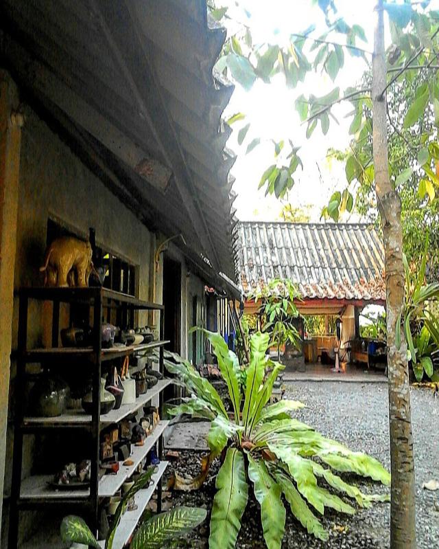 ขายที่ดิน 2 ไร่พร้อมบ้าน 13