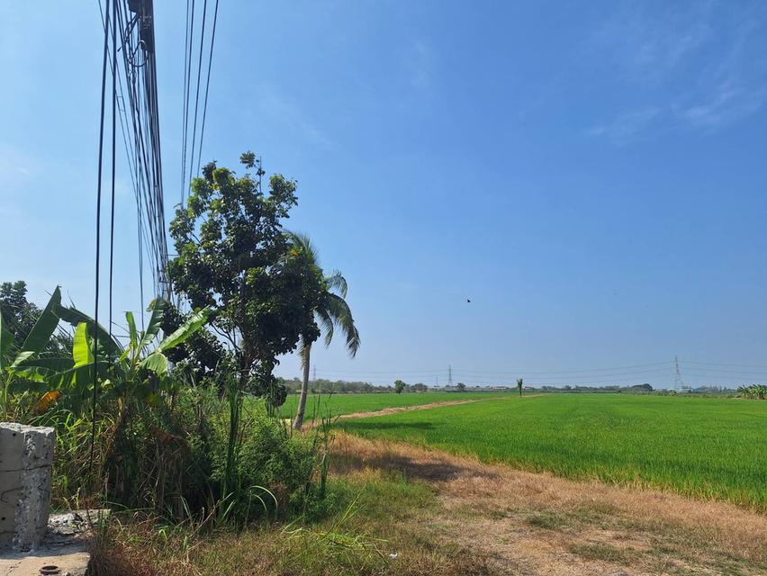 ที่ดินติดถนนปทุมธานี บางเลน ลาดหลุมแก้ว 8