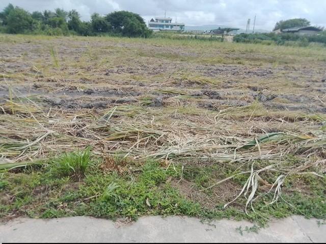 ให้เช่าที่ดินบ้านบึงชลบุรี #ให้เช่าที่ดินระยะยาวเนื้อที่ 9-3-68 ไร่ (2 โฉนด) ที่ดินอยู่ใกล้ถนนเส้น 344 ห่างจากท่าเรือแหล 4