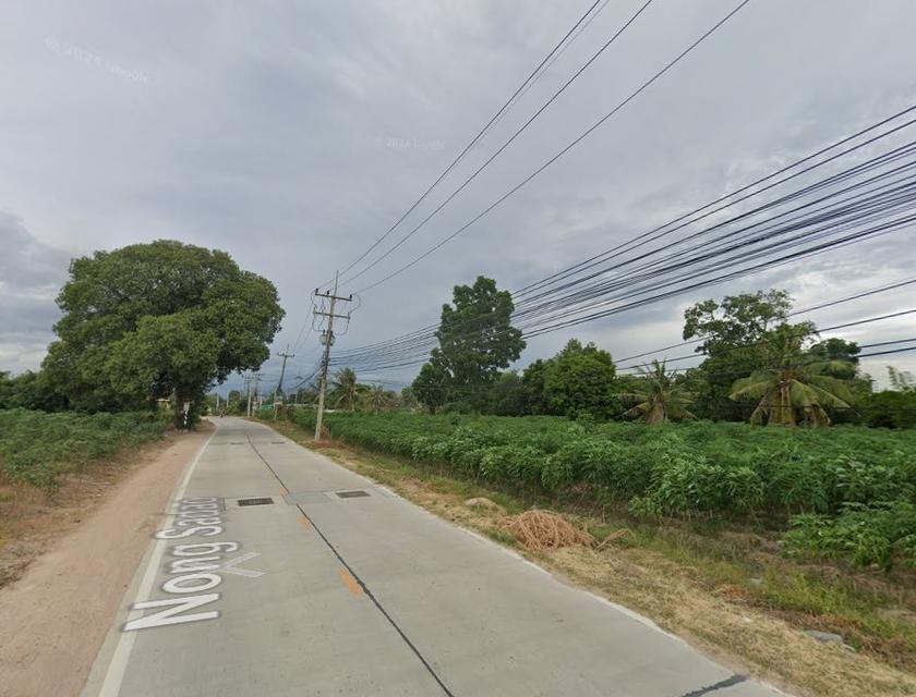 ขายที่ดินบางละมุง 3 ไร่ หนองมะนาว-หนองสะเดาติดทางรถไฟ ใกล้ท่าเรือแหลมฉบัง-2กม. จ.ชลบุรี