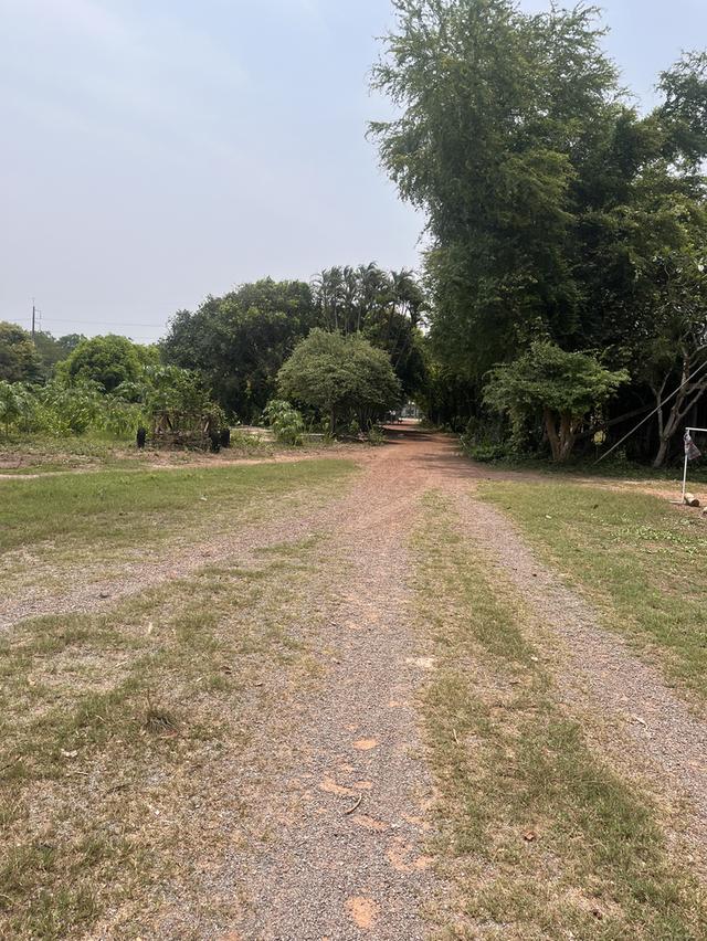 ขายที่ดินปราจีนบุรี 50 ไร่ ติดถนนใหญ่ 3