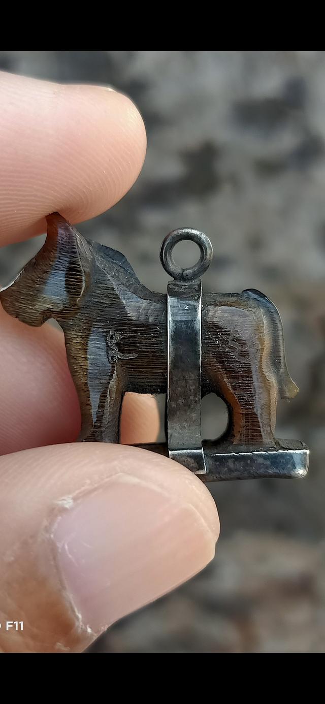 ม้า หลวงพ่ออ่ำ วัดหนองกระบอก 2