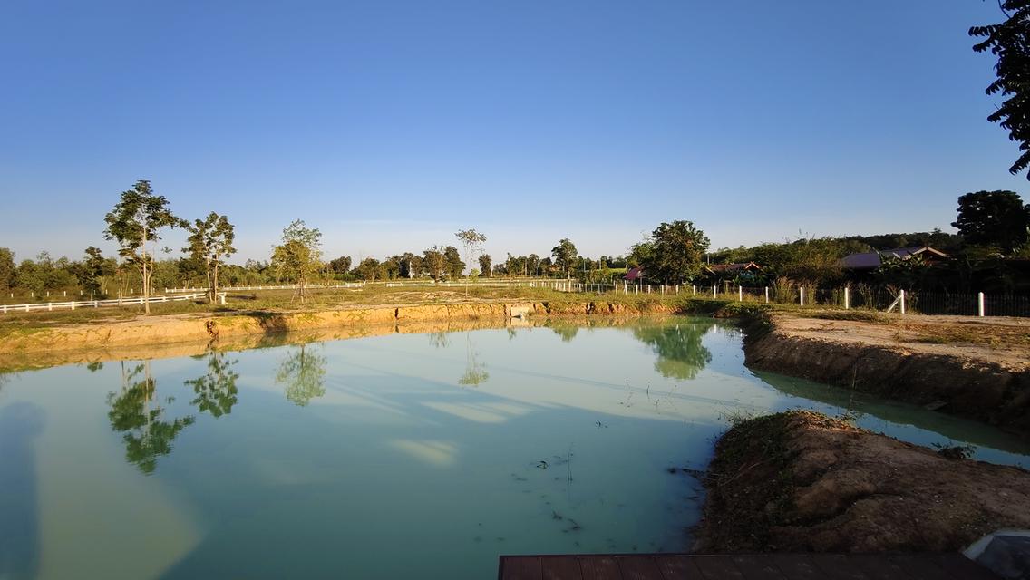 ที่ดิน " วิวภูเขา " อากาศดี ใกล้วังน้ำเขียว ใกล้ทางหลวง 304 วิวภูเขาลอมรอบ ภูหลวง ปักธงชัย นครราชสีมา มีให้เป็นเจ้าของอีก 5 แปลง เท่านั้น 10