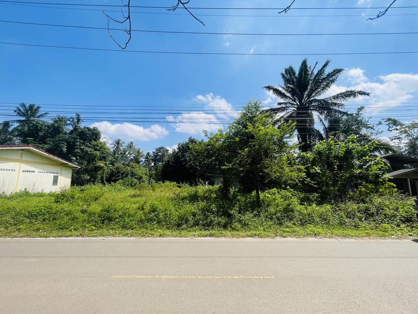 ที่ดินเปล่าขนาด85ตารางวา 4