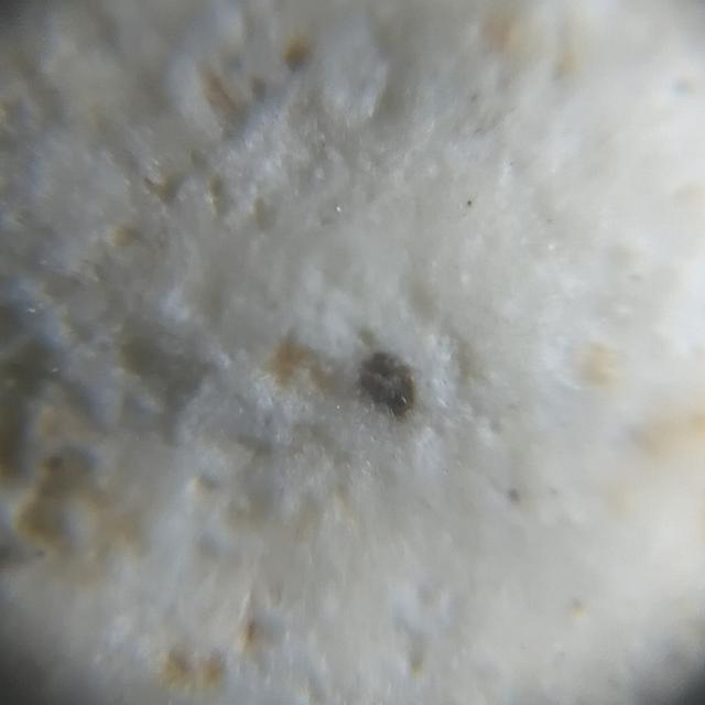 พระกรุเก่าวัดบางขุนพรหม พิมพ์ใหญ่พระประทาน รูปที่ 7