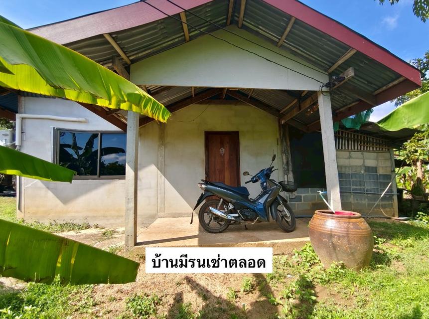 มารับทรัพย์แปลงนี้ด่วน‼️ที่ดินติดรีสอร์ต "ชมทุ่ง" วิวหลักล้าน บรรยากาศชิลทุกตารางนิ้ว  แถมบ้านเดี่ยว มีผู้เช่าตลอดปี บ้านอ่างไผ่ อ.วัฒนานคร จ.สระแก้ว 17