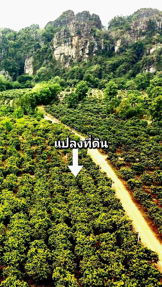 สัปปายะสถานโอบกอดด้วยขุนเขา 5