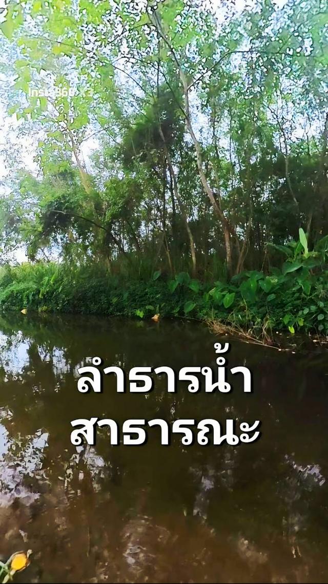 ขายที่ดินหมูสี ปากช่อง เขาใหญ่ สูงกว่าระดับน้ำทะเล 375 เมตร ทำเลทองหล่อเขาใหญ่  ราคาดีที่สุด รีบจองก่อนหมด ใกล้ธนะรัชต์ 7