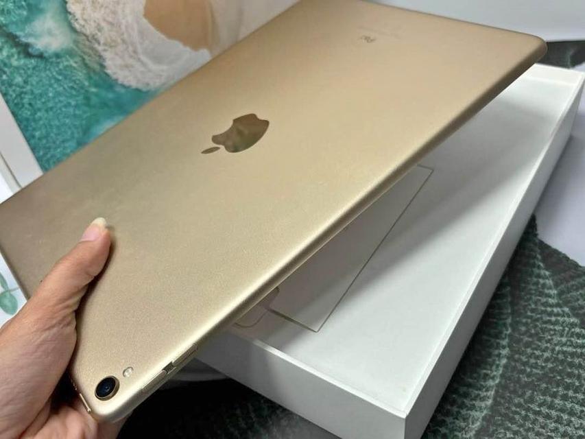 Ipad Pro 10.5 สี gold 4