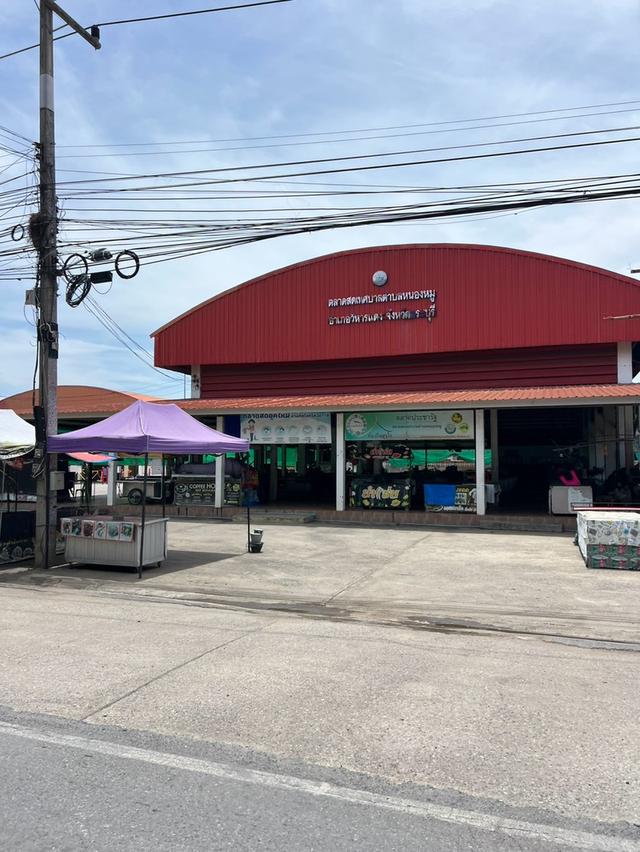 ที่ดินผืนสวย ทำเลน่าลงทุน ใกล้ชุมชนหนองหมู เทศบาลตำบลหนองหมู อำเภอวิหารแดง จังหวัดสระบุรี 12